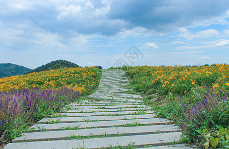 铺满鲜花的曲径小路图片