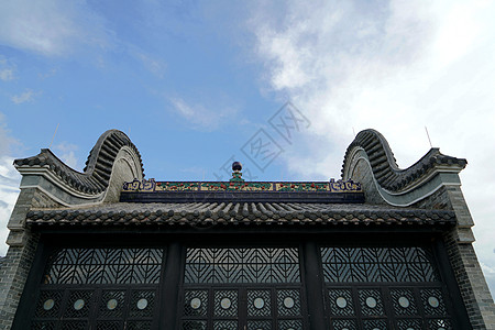 岭南榕树岭南建筑背景