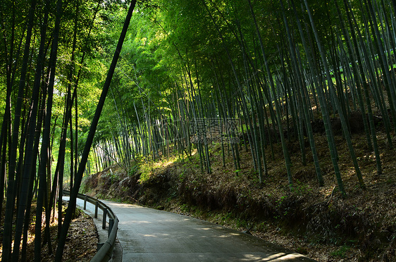 宁波奉化中山公园山上图片