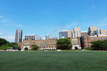 建筑草坪东京大学背景