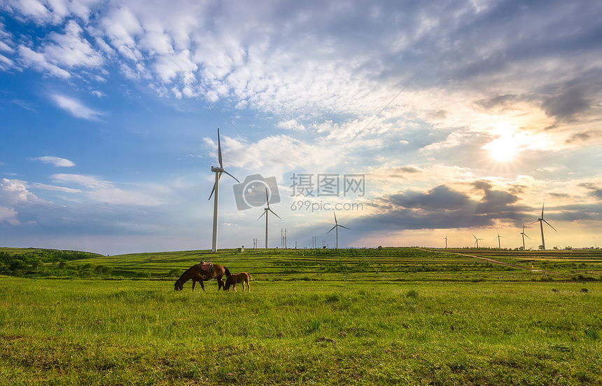 广阔大草原夕阳下马儿吃草图片