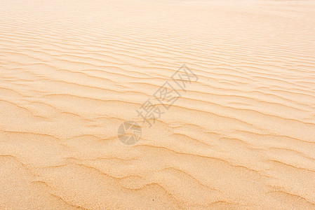 沙漠的细纹图片