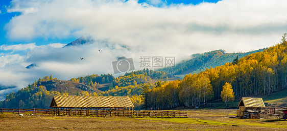 秋景图片