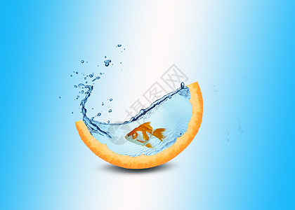 橘皮鱼缸背景图片