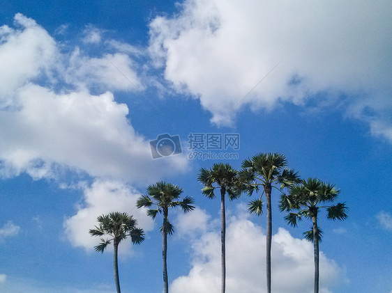 海南夏日风景图片