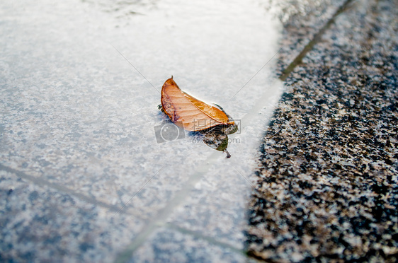 被夏季太阳雨浇灌的万物图片