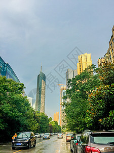 被夏季太阳雨浇灌的万物图片