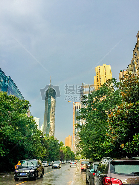 被夏季太阳雨浇灌的万物图片