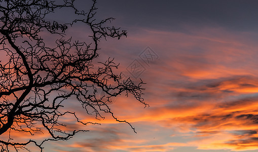 夕阳剪影图片