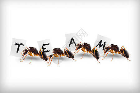 面具排队蚂蚁团队创意图片设计图片
