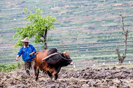 耕地图片素材下载-耕地素材库-摄图网