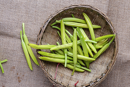 黄花菜美食黄花菜高清图片