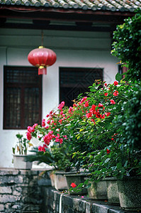 夏雨后的街道风景图片