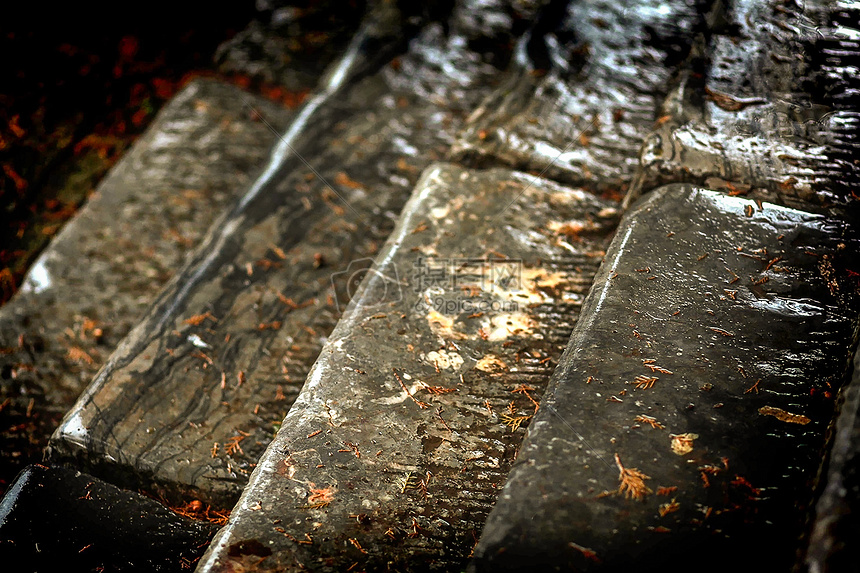 夏雨后的街道风景图片