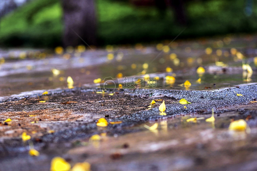 夏雨后的街道风景图片