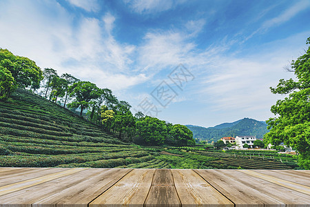 天蓝茶园木板背景设计图片