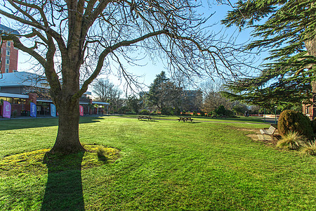 林肯大学大学外景背景