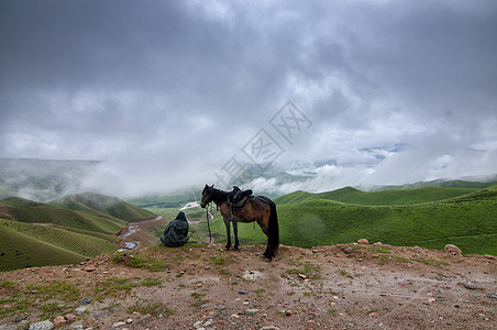 新疆牧羊人与马背景图片