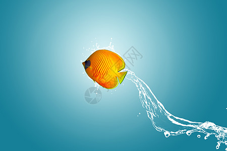 鱼跳出水面跃出水面的鱼设计图片