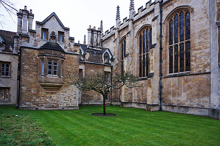 英国大学英国剑桥大学牛顿的苹果树背景