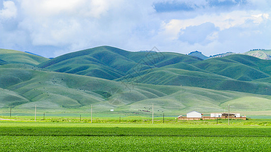 田野风光美丽的伊犁风光背景