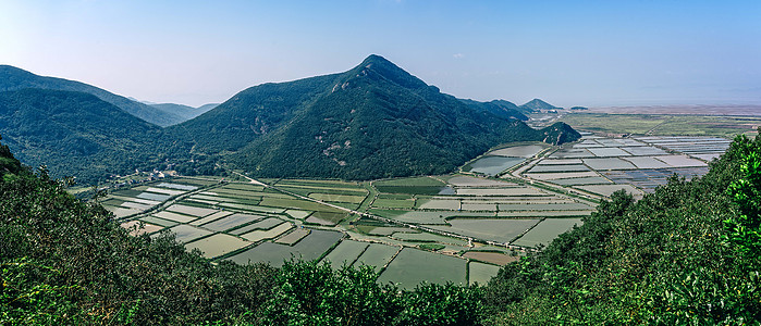 俯瞰田间图片