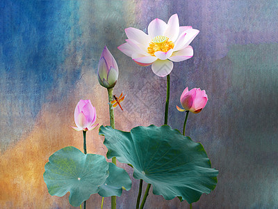水彩画花图片 水彩画花素材 水彩画花高清图片 摄图网图片下载 水彩画花图片 水彩画花素材 水彩画花高清图片 摄图网图片下载