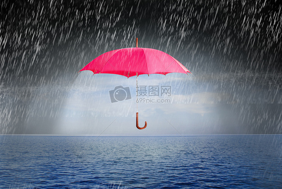 雨中的雨伞图片