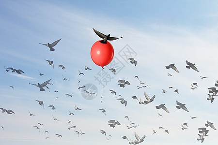 一只鸟在一个红色的气球上升起图片