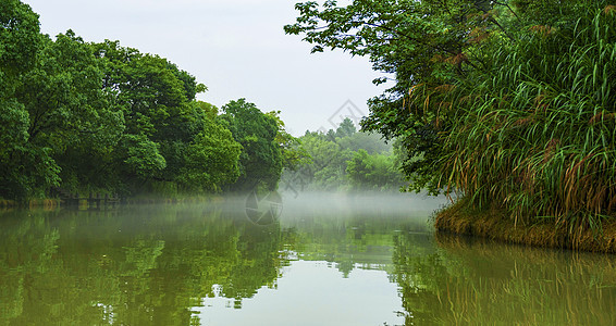 沪杭雨中盛夏背景图片