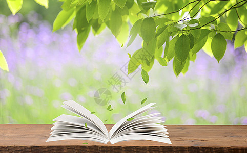 树下翻开的书背景图片