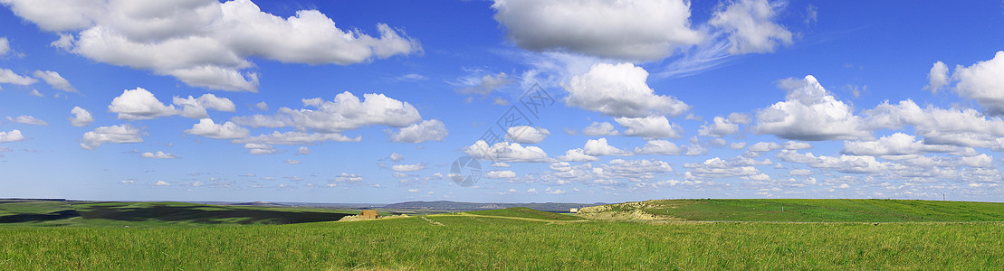 麦田上的女孩儿草原上的蓝天白云背景