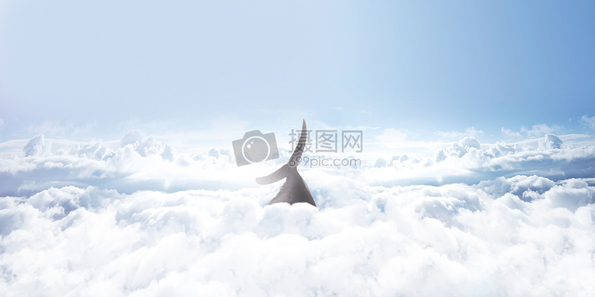 天空云种飞翔的鲸鱼大鱼超现实梦幻壁纸图片
