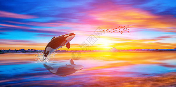 鲸鱼出水合成壁纸高清图片