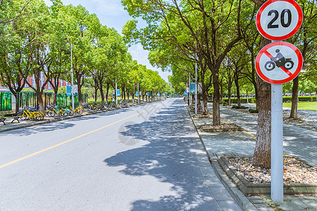 上海华东政法大学校园路图片