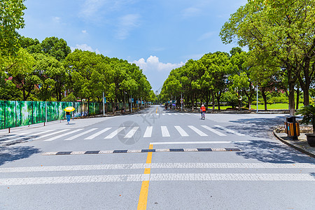 上海华东政法大学校园路背景图片