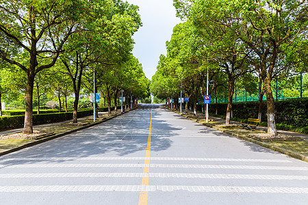 侧面行走上海华东政法大学校园路背景