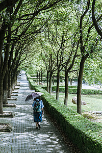 侧面行走上海大学校园学生阳光下行走背景