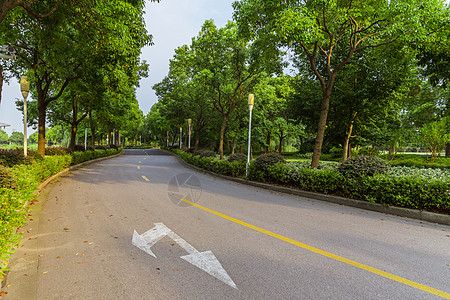 上海视觉艺术学院校园路图片