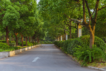 侧面行走上海视觉艺术学院校园路背景