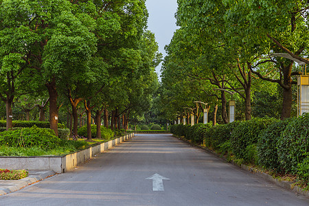 上海视觉艺术学院校园路背景图片