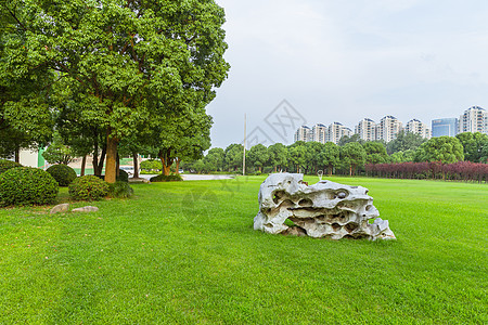 上海大学校园草地假石设计图片