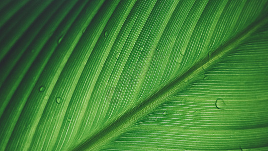 梅雨季节照片 梅雨季节背景 梅雨季节摄影图片下载 摄图网