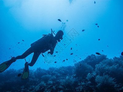 潜水海洋图片