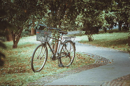 夏天树林中的单车背景图片
