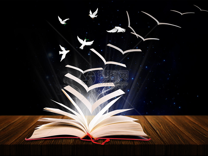 书中飞出的白鸽