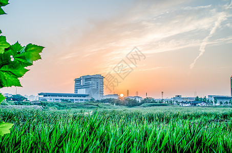 大学校园建筑图片