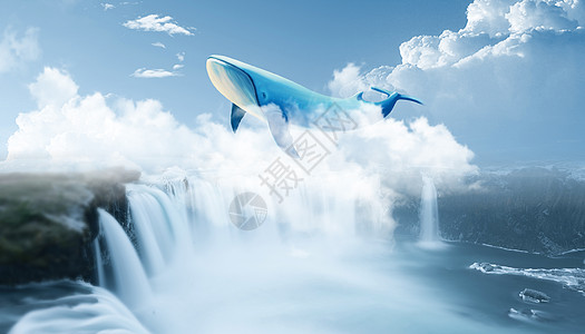 飞行的鲸鱼超现实图片设计图片