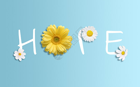 花朵的希望hope蓝雏菊高清图片