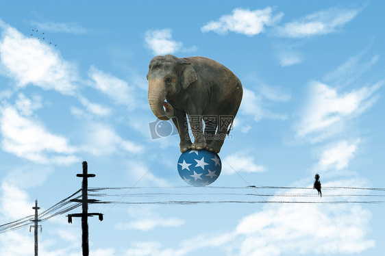 电线杆上的大象图片